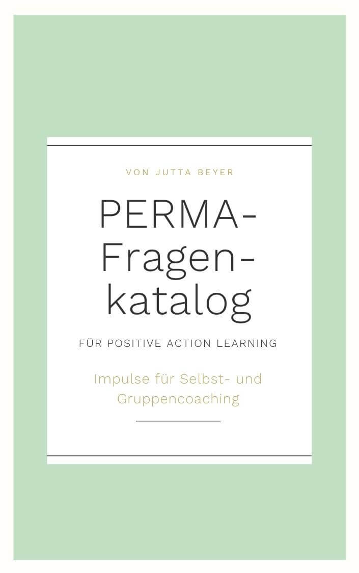 Ebook cover PERMA-Fragenkatalog